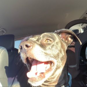 Meet your Posher, Tara